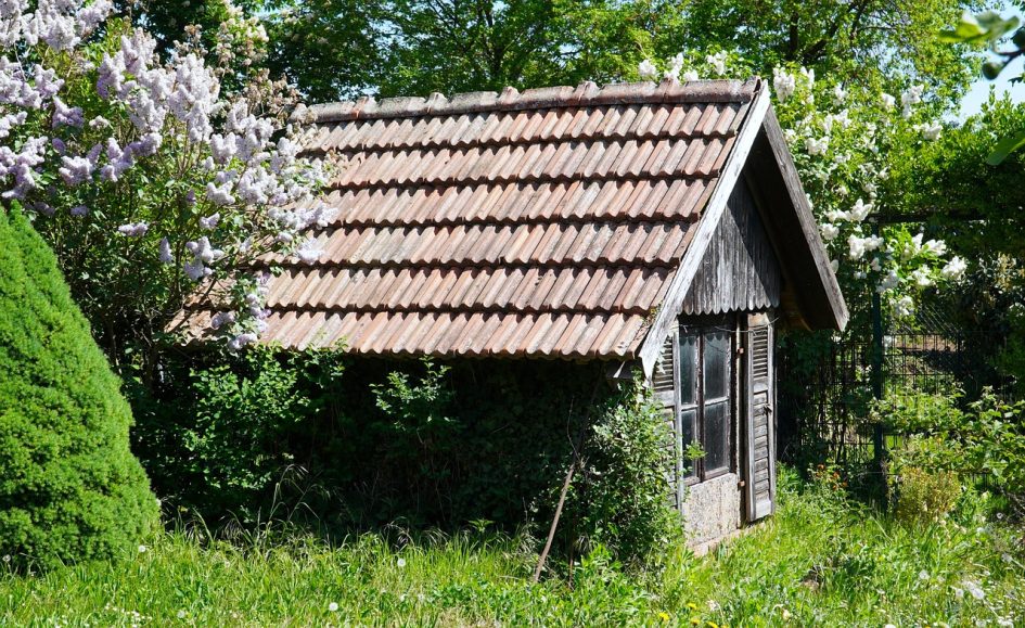 garden shed, old, garden